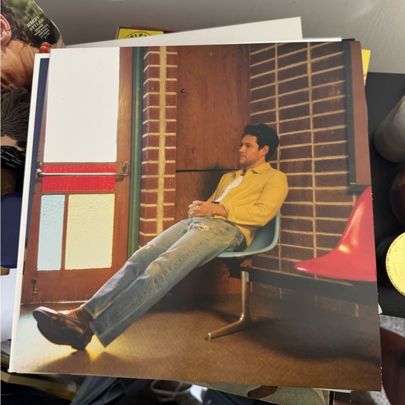 niall horan the show vinyl - Picture 1 of 3